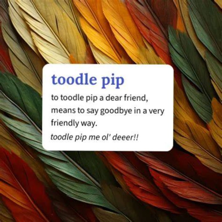 Whats the meaning of toodle pip?