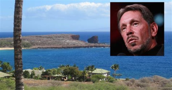When did ellison buy lanai?