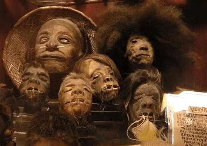 When did shrunken heads start?