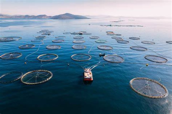 When is a fishery sustainable?