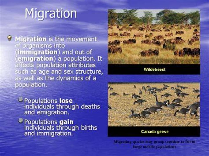 When organisms move out of the population this is known as?