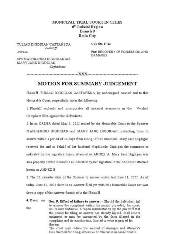 When summary judgement is denied?