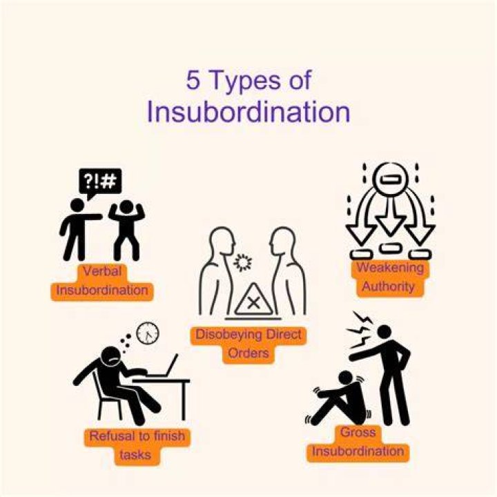 Where does the word insubordinate come from?