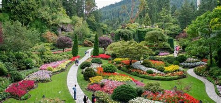 Where is butchart gardens?