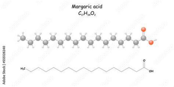 Where is margaric acid found?