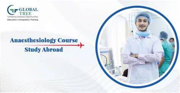 Where to study anesthesiology?