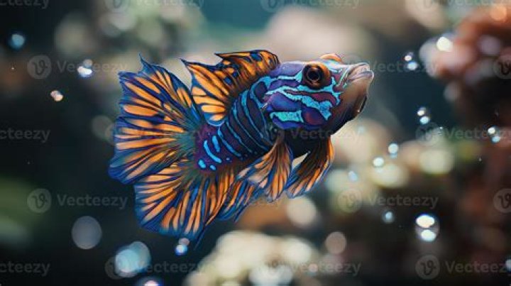 Which fish are scaleless?