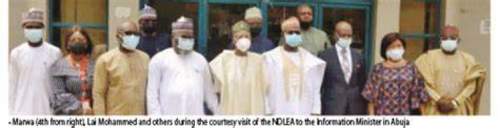 Which ministry is ndlea under?