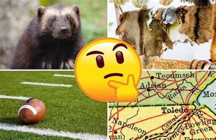 Which u.s. state is nicknamed the wolverine state?