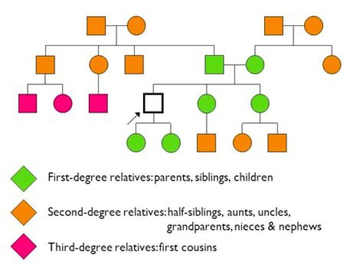 Who are second degree relatives?
