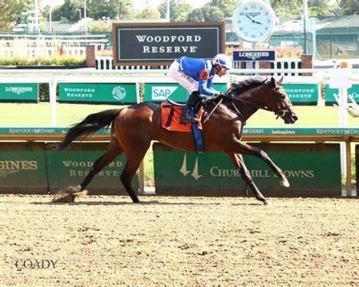 Who owns shadwell stables?