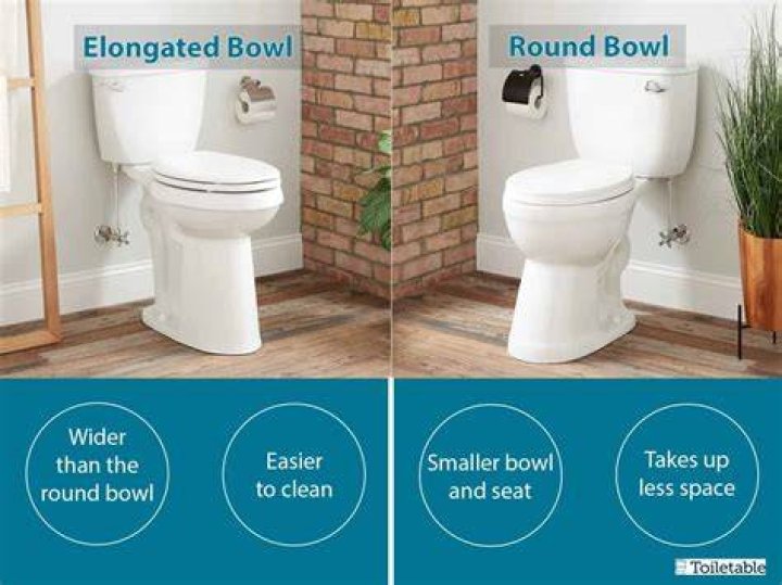 Why elongated toilet bowl?