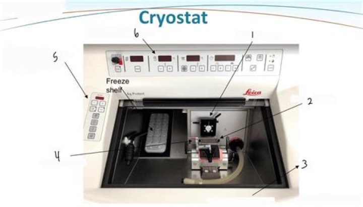 Why is it called a cryostat?