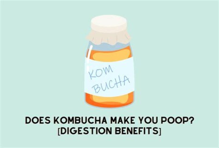 Why kombucha makes you poop?