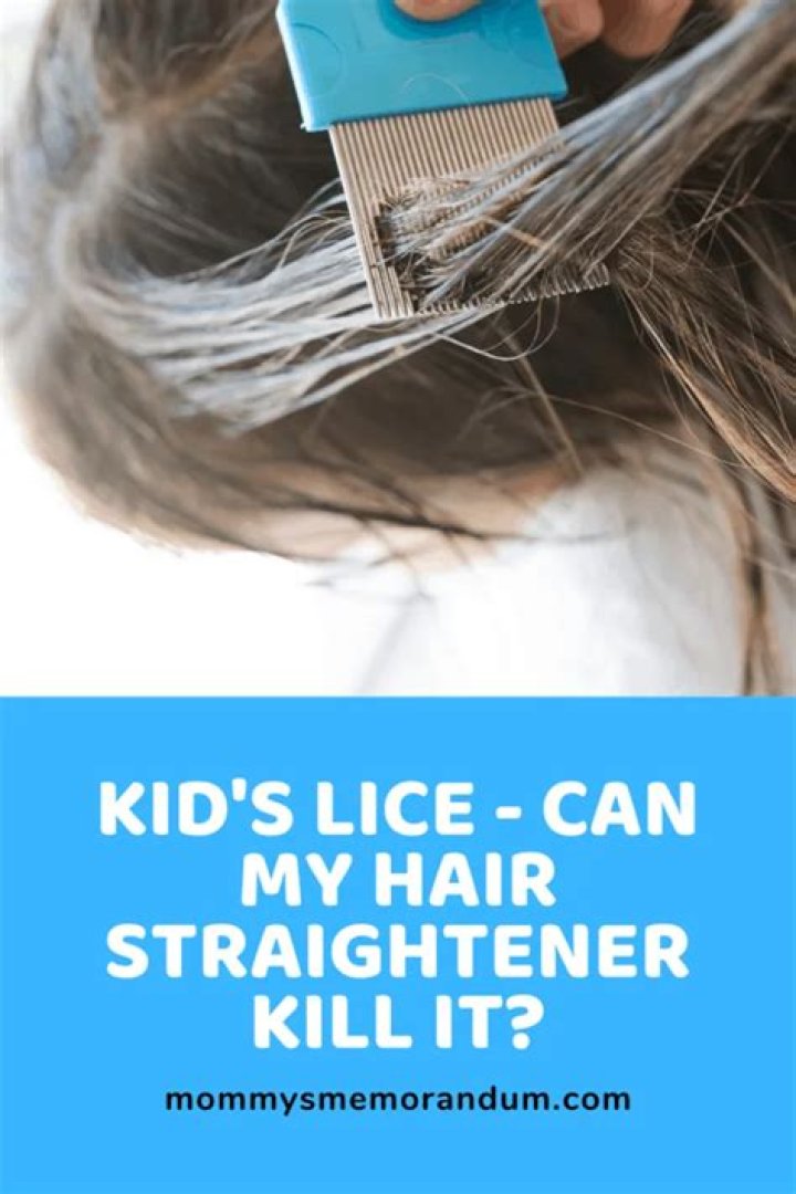 Will using a straightener kill lice?