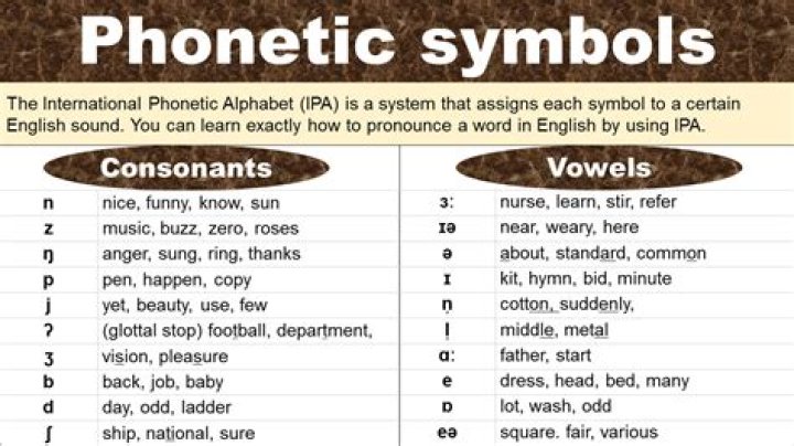 Will you give the definition of phonetics?